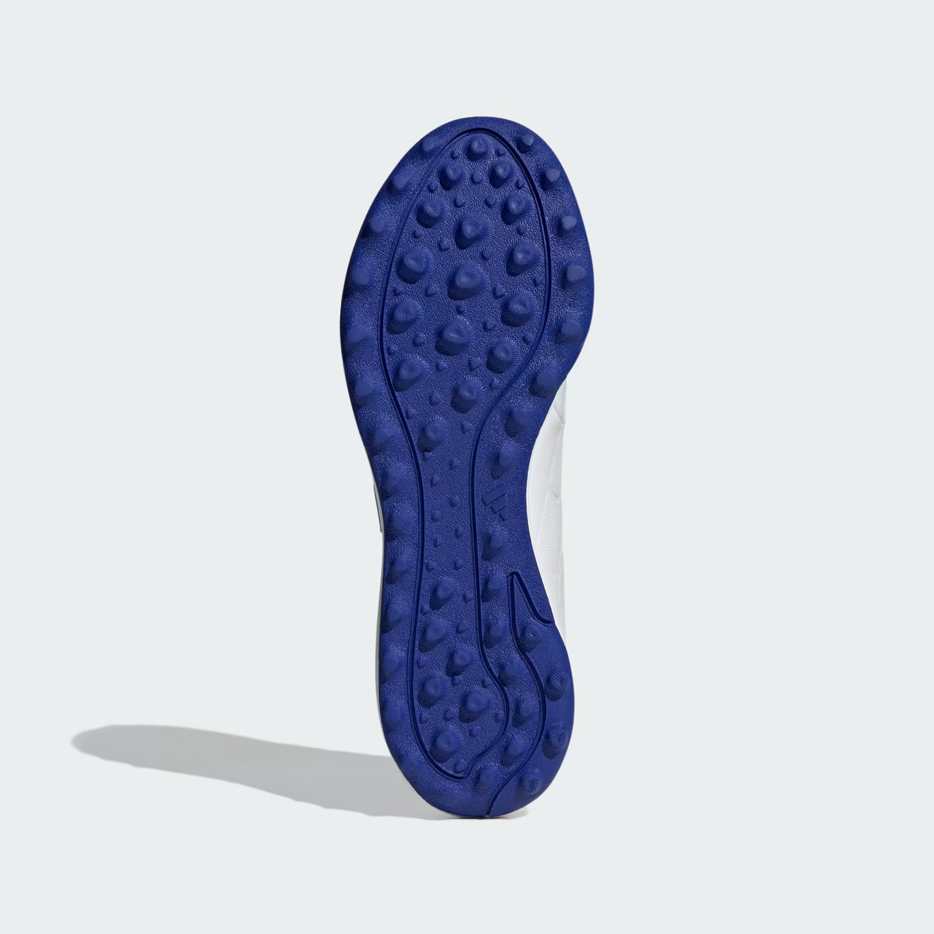 Blue shoe sole on a light gray background