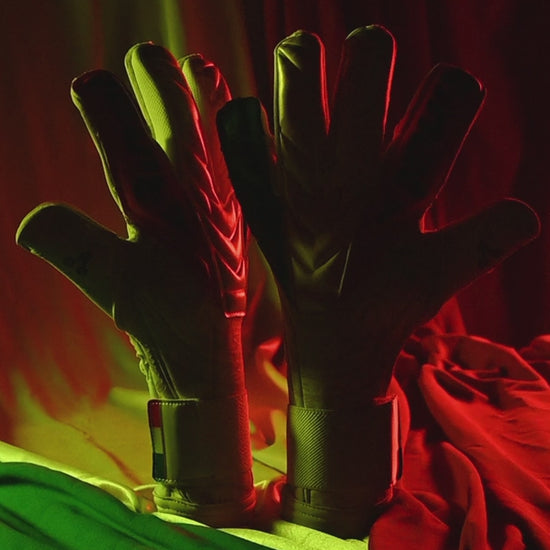 Rinat tricolor goalie glove video