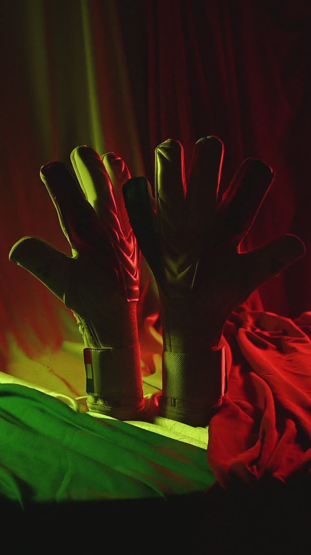 Rinat tricolor goalie glove video