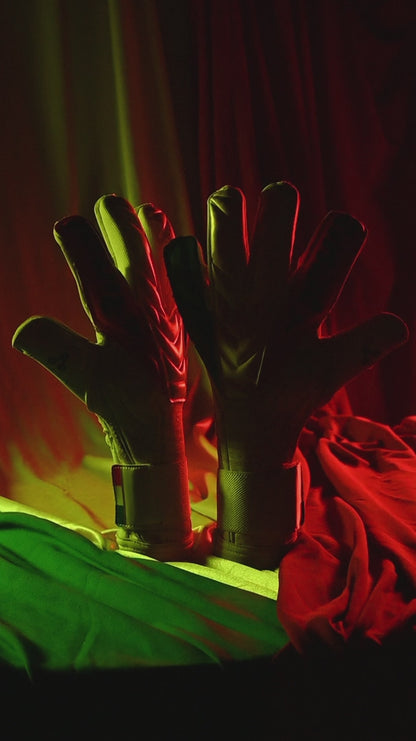 Rinat tricolor goalie glove video